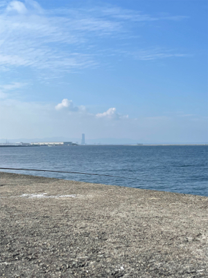 久し振りのハマチ