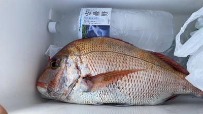 明石でタイラバ