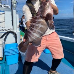 南紀落とし込み！