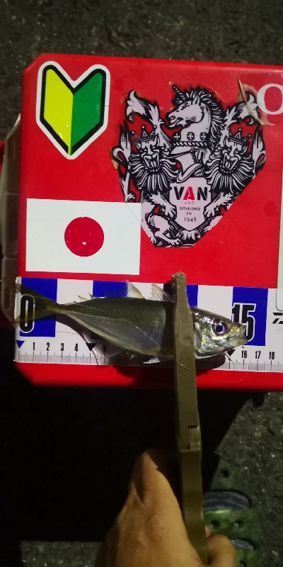 アジング練習320