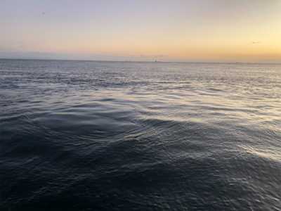 ショアジギング