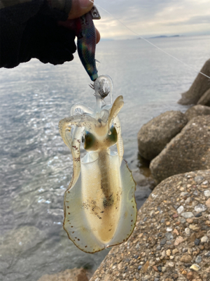 短時間でもアオリGET＼(^o^)／