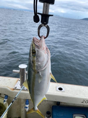 明石ジギング釣行