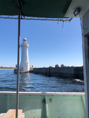 ひさしぶりめじろ