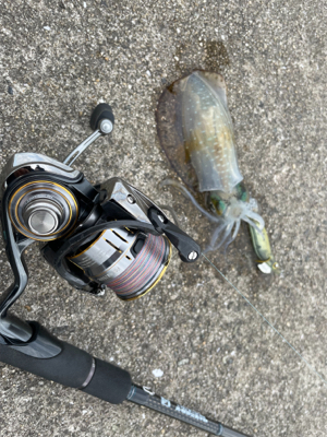 ぶっとびエギング