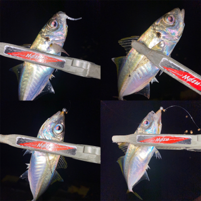 期間限定ポイント