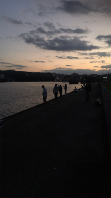 川久太刀魚ポツポツ