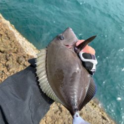 秋磯は難しい…