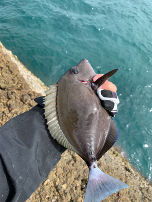 秋磯は難しい…