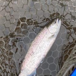 黒保根渓流フィシング