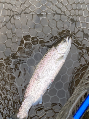 黒保根渓流フィシング