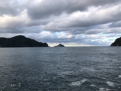 超寒い中のサゴシ1匹