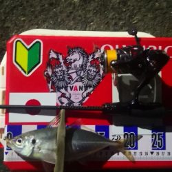 アジング練習　321