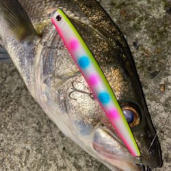 秋らしくなってきました！