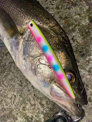 秋らしくなってきました！