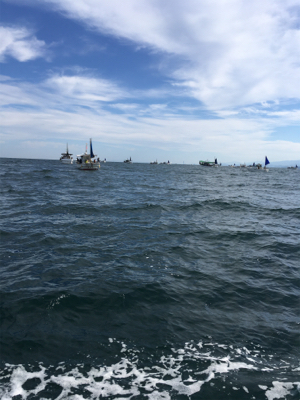 サバフグの猛攻