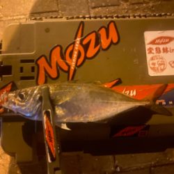 良型の後は豆狩りへ