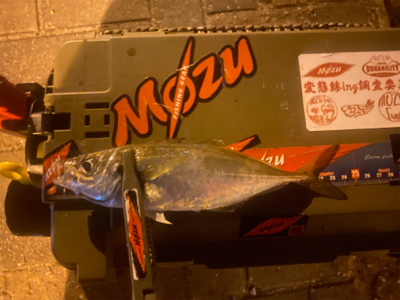 良型の後は豆狩りへ