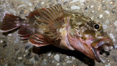 潮が止まるまで