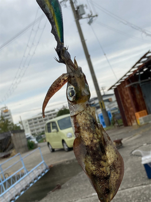 もう新子調査とは言わないぞー！