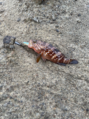 寒くなってきた