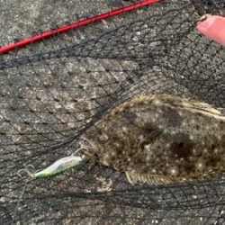 サーフ第二戦。