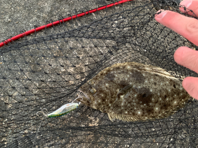 サーフ第二戦。