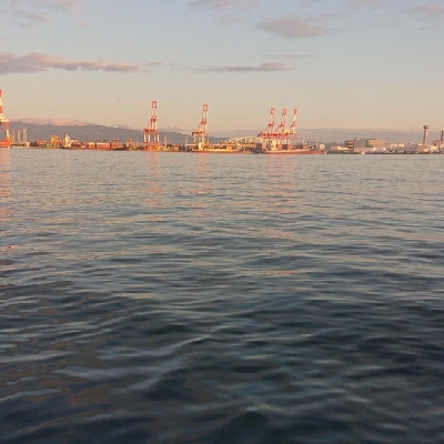 南港ショアジギ