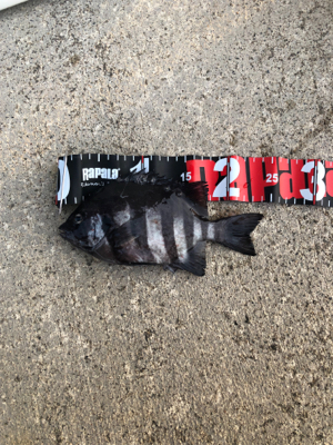 小木港　沖堤防