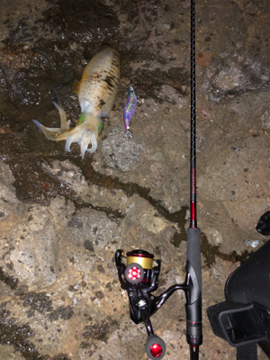 釣れるのは釣れますが