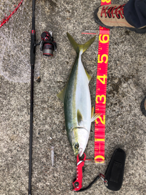 粘り勝ち(・⊝・)v