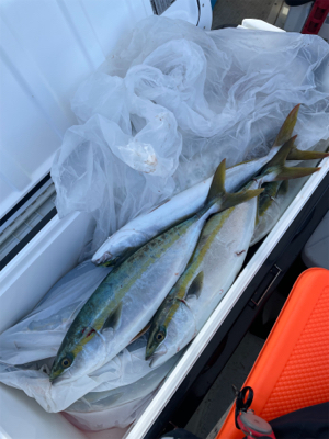 明石沖ジギング