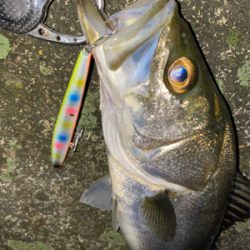 サイズよりも重さ？