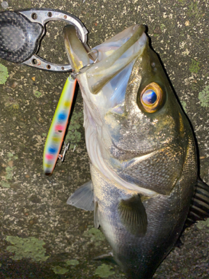 サイズよりも重さ？