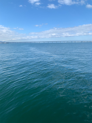 地合い逃したが…