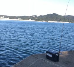 休暇村南淡路オートキャンプ場