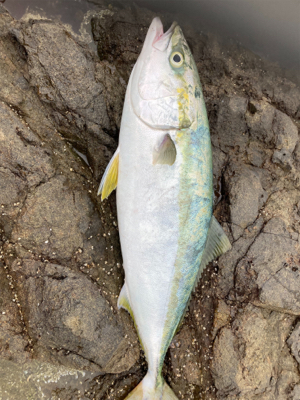 ショアジギング