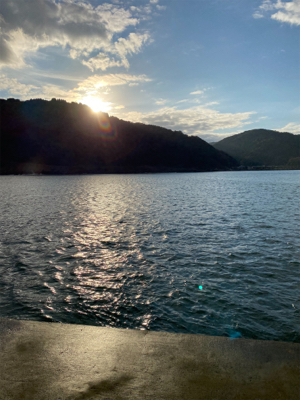 かろうじてガシラ