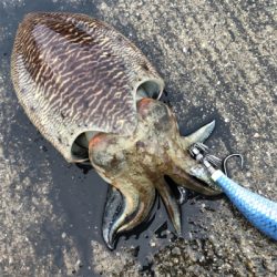 アメングでの1杯