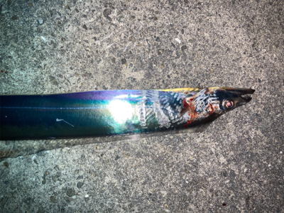 2021ライトゲーム第33戦