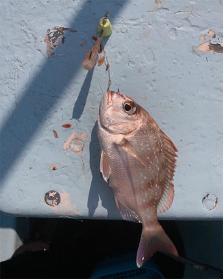 関門一つテンヤ