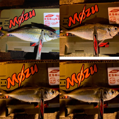 シャローフリークFからのジグ単