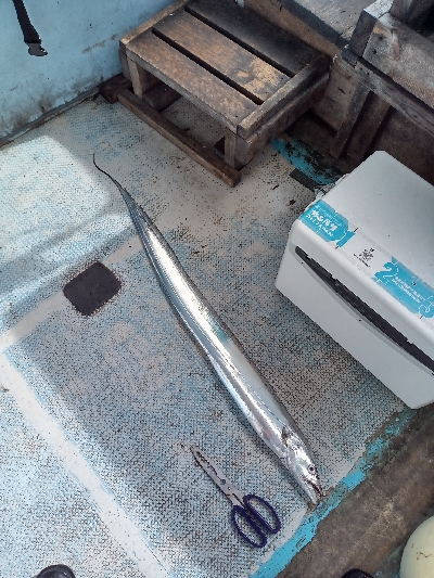 あと7cmでドラゴン級