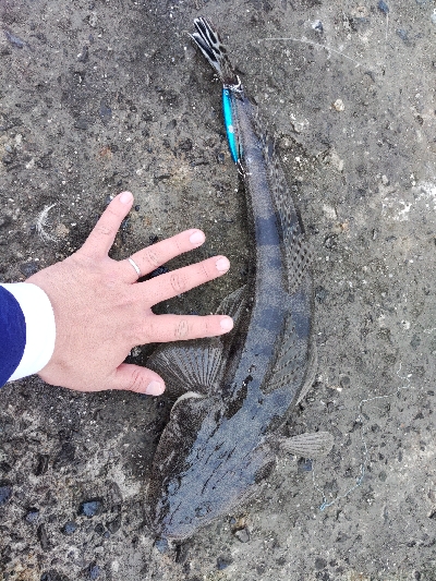 久しぶりに朝練