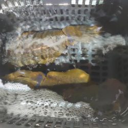 初めてのナイトティップラン