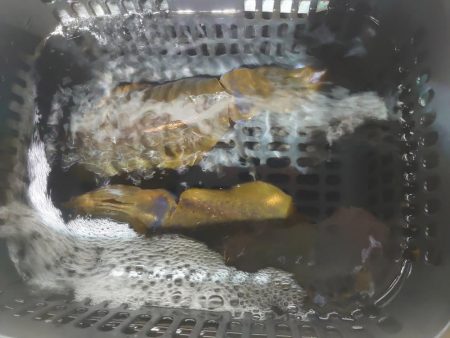 初めてのナイトティップラン