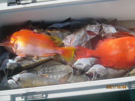 黒ムツ25匹　入れ食いでした(^^♪