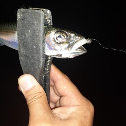 ライトゲーム49