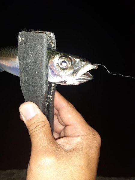 ライトゲーム49