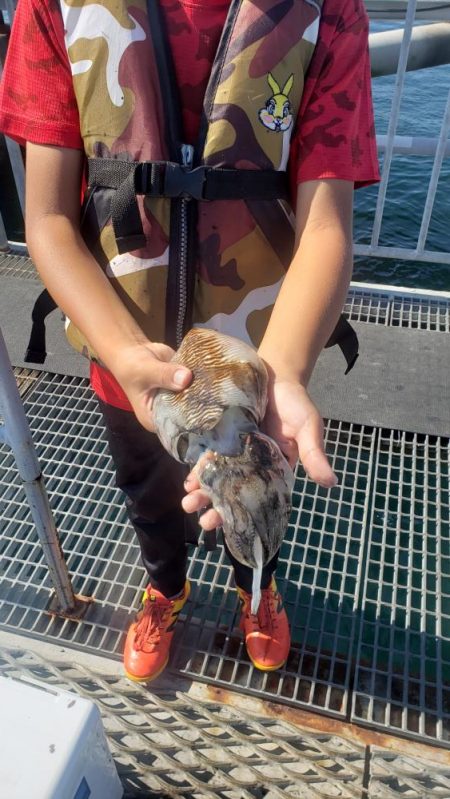 マハタとコウイカが釣れました❗